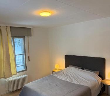 Fionnay Apartment | 3 bedrooms apartment in Fionnay