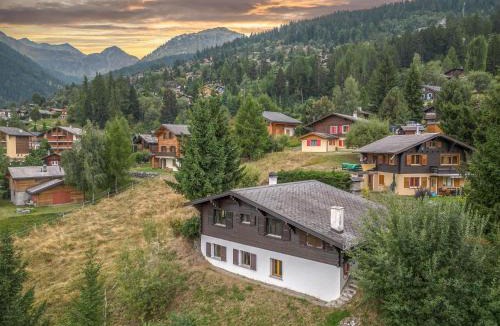 Mayens-de-Riddes Ski Chalet | Chalet Nicolas