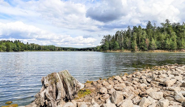 2 bedroom accommodation in Dankerode in Dankerode
