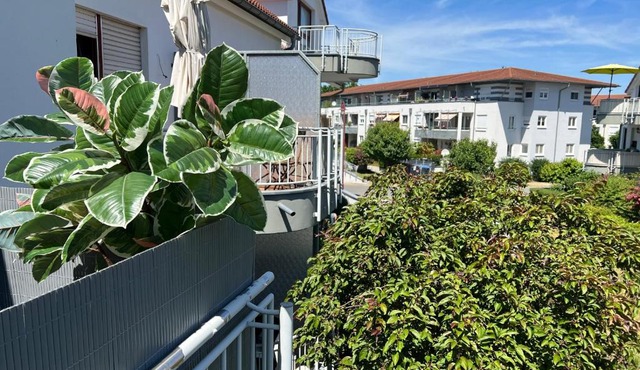 Apartment Studio Green line in Bannewitz