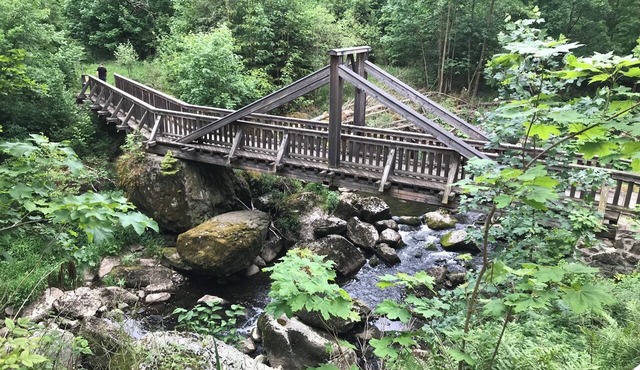 "Auszeit 2" Vacation Home on Lake Frankenwald – Hot Tub Near Bad Steben in Lichtenberg
