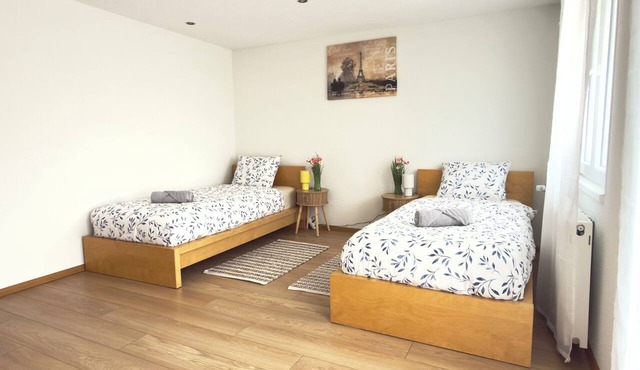 Basel Haven I Spacious Home I Free Parking I Wifi in Münchenstein