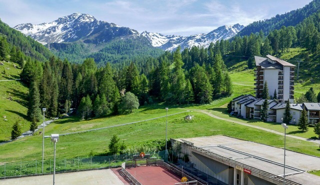 Beautiful apartment for 6 people with WIFI, TV, balcony and pets allowed in Basse-nendaz