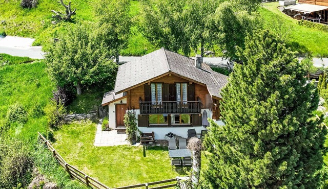 Beautiful private villa for 6 people with WIFI, TV, balcony and pets allowed in Basse-nendaz