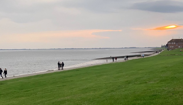 Central but quiet with optimal shopping facilities - 10 minutes to the beach in Wilhelmshaven