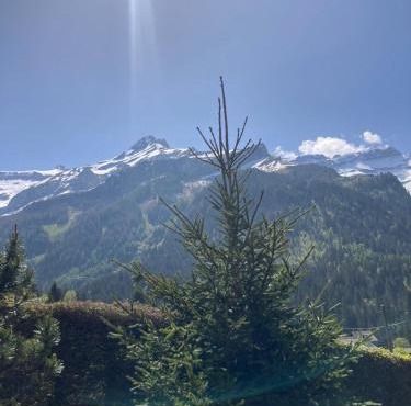 Chalet familial Rose de Noël in Les Diablerets
