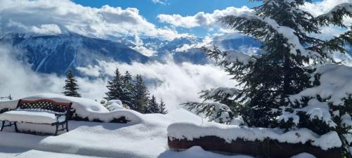 Chalet La Louise avec vue imprenable in Crans-Montana