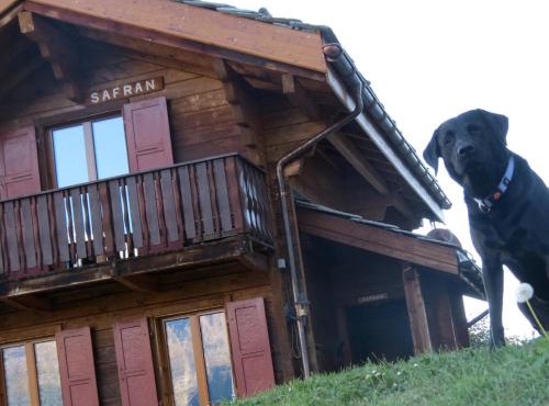 Chalet Safran in Grächen