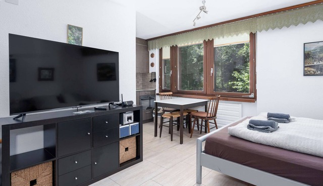 Cozy Alpine Studio in Wiriehorn with Parking in Diemtigen