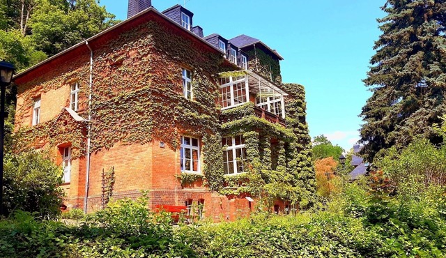 Double room for 2 guests with 39m² in Bad Freienwalde (Oder) (272845) in Bad Freienwalde (Oder)