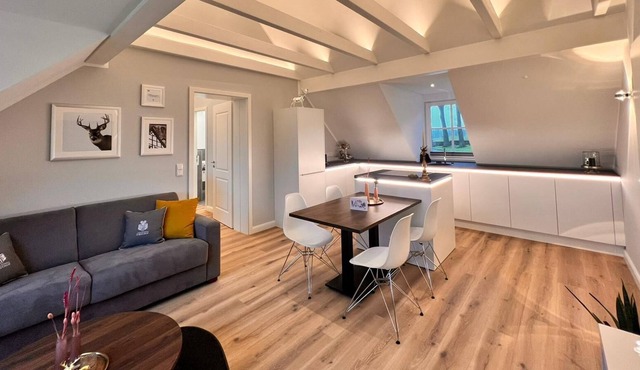 DRIEHOF - Panorama Apartment Apt. 9 in Tecklenburg