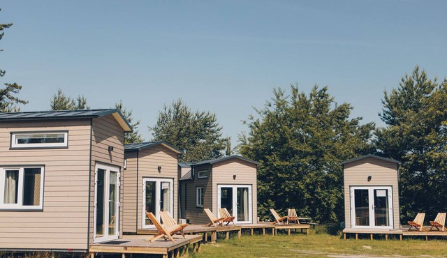 Experience a special stay in the Koya Tiny Loft for 4 people. A cosy and fully equipped accommodation, located on a car-free field for extra peace and space. in Wilsum