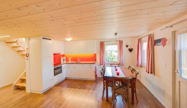 Farm Fendrig - new flat in Haslen AI