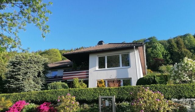 Freud Family Royal holiday destination with a variety of recreational opportunities! in Willingen Upland