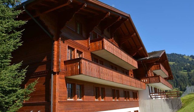 Henry (2. Stock) Appartement/Fewo, Dusche oder Bad, WC 12-Bettwohnung by Interhome in Gstaad