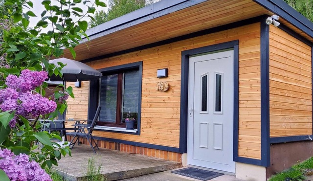 Holiday home "Verena" with garden, barbecue and terrace in Niederschmiedeberg