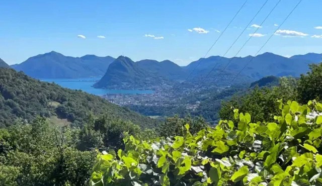 Homerez - Detached House Capriasca in Capriasca