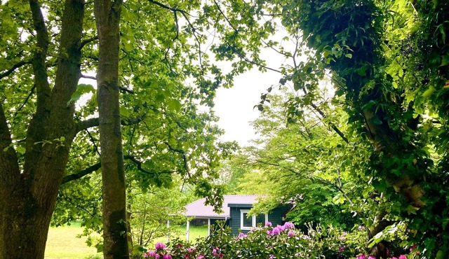 Lütje Nüst – Charming Chalet on the North Sea in Rechtsupweg