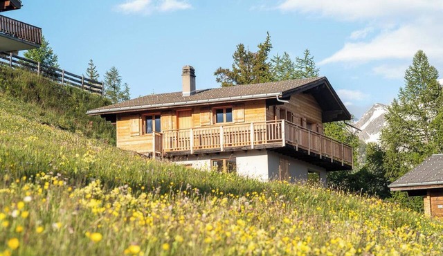 Labbrunnu OG 5-Bettwohnung, Dusche, WC 5-Bettwohnung, Dusche, WC by Interhome in Rosswald