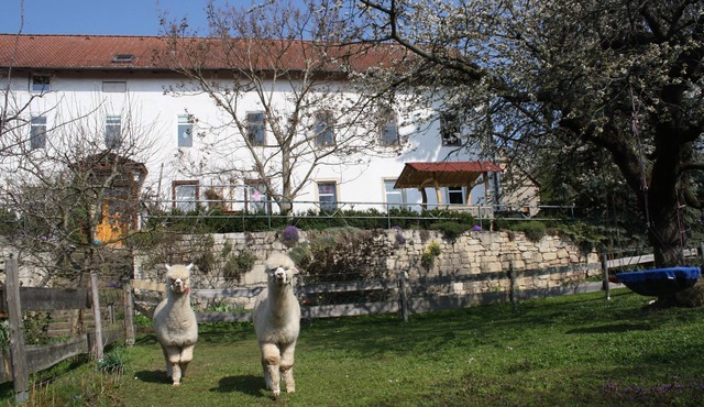 Large, rustic apartment on a farm with a view of the castle in Dornburg-Camburg
