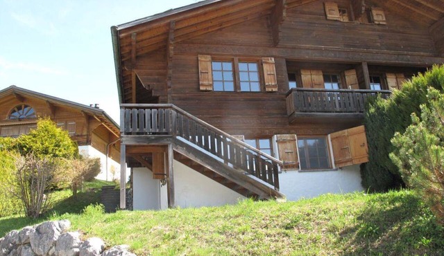 Les Hivernants (EG links) Appartement/Fewo, Dusche oder Bad, WC, 1 Schlafraum by Interhome in Gstaad