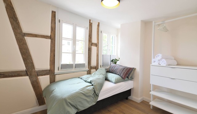 "Nibelungen" Vacation Rental—3 Bedrooms & Rooftop Terrace—Heppenheim Old Town in Heppenheim (Bergstraße)