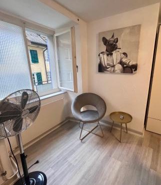 Private Studio Apartment in Bremgarten in Bremgarten