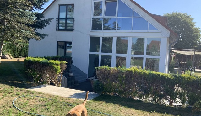 Quiet apartment with bright conservatory and again with pool! in Buddenhagen