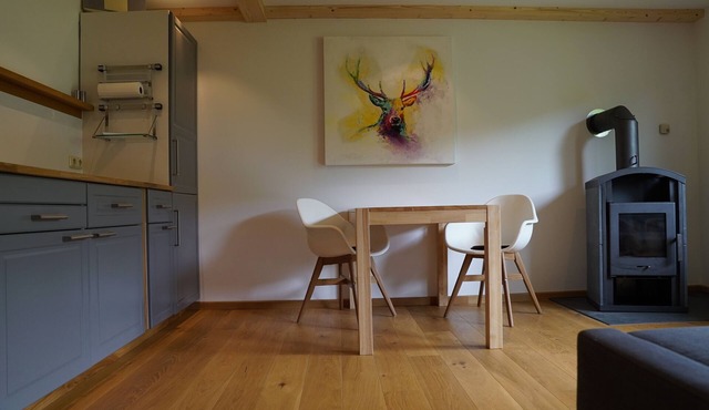 Quiet vacation home on the edge of the forest with sauna and fireplace in Schleusegrund