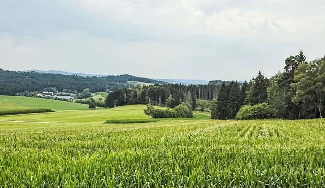 Rachel mit herrlichem Ausblick by Interhome in Rinchnach