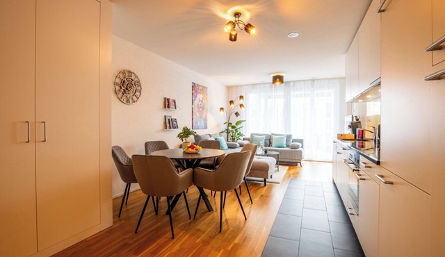 Special *EiNSTEiN II* Apartment in Basel