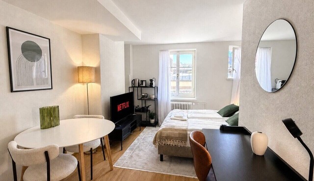 Studio in a perfect location (Stork 35) in Zürich