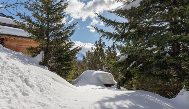 Stunning private villa for 8 people with WIFI, TV, terrace, pets allowed and panoramic view in Champex