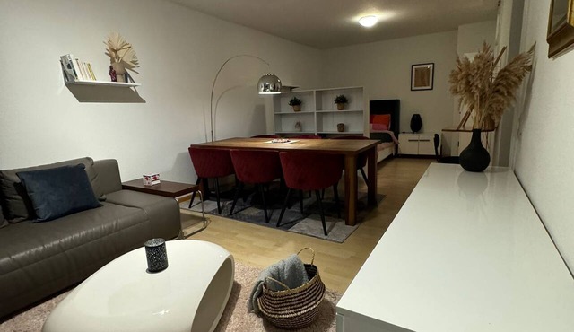 Stylish flat close to Basel with a stunning view in Weil am Rhein