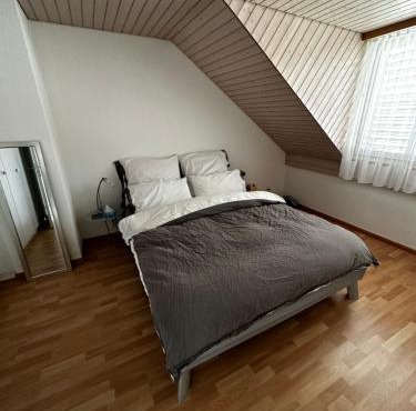 Sunny private Apartment in an amazing valley in Wila