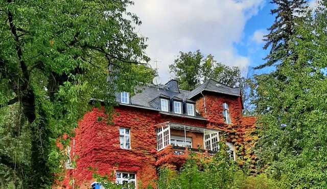 Vacation apartment/apartment for 2 guests with 25m² in Bad Freienwalde (Oder) (272808) in Bad Freienwalde (Oder)