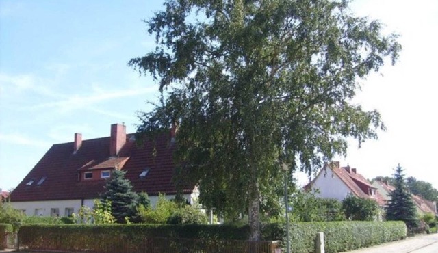 Vacation apartment Mirow (22205) - Holiday apartment in Mirow