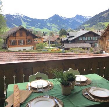 Wonderful apartment overlooking the Swiss alps in Chateau-d'Oex