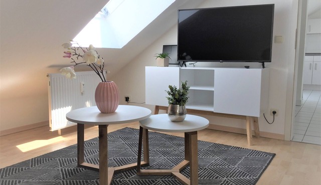 Zwillingsperlen Leutzsch Appartement Villenblick in Leipzig