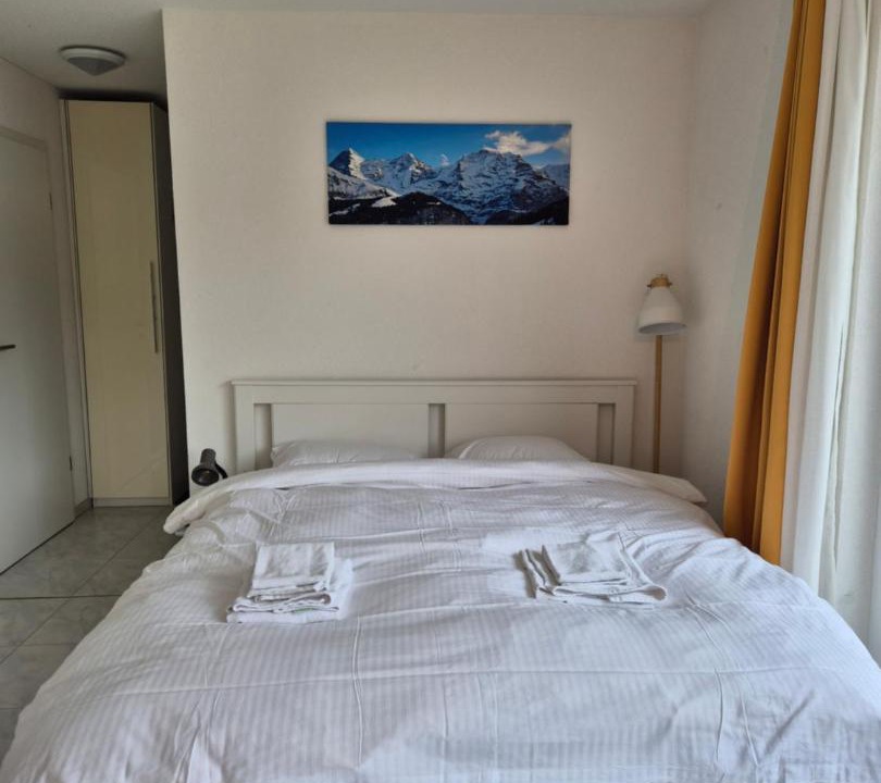 Wilderswil Apartment | Alpine Bliss Studio