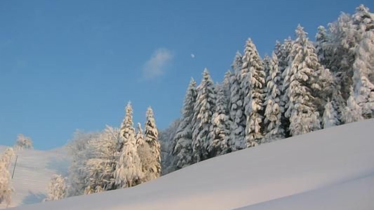 Photo of Others in Hergiswil bei Willisau