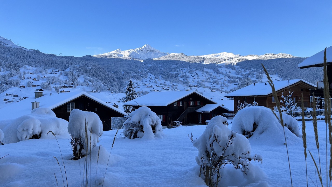 Photo of Others in Grindelwald