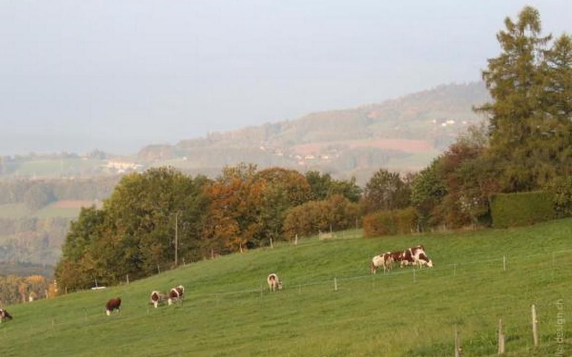 Photo of Others in Chardonne