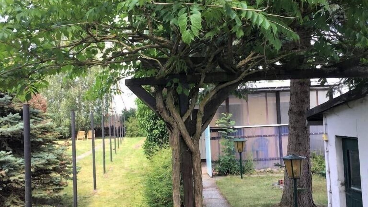 Photo of Outdoor in Freest