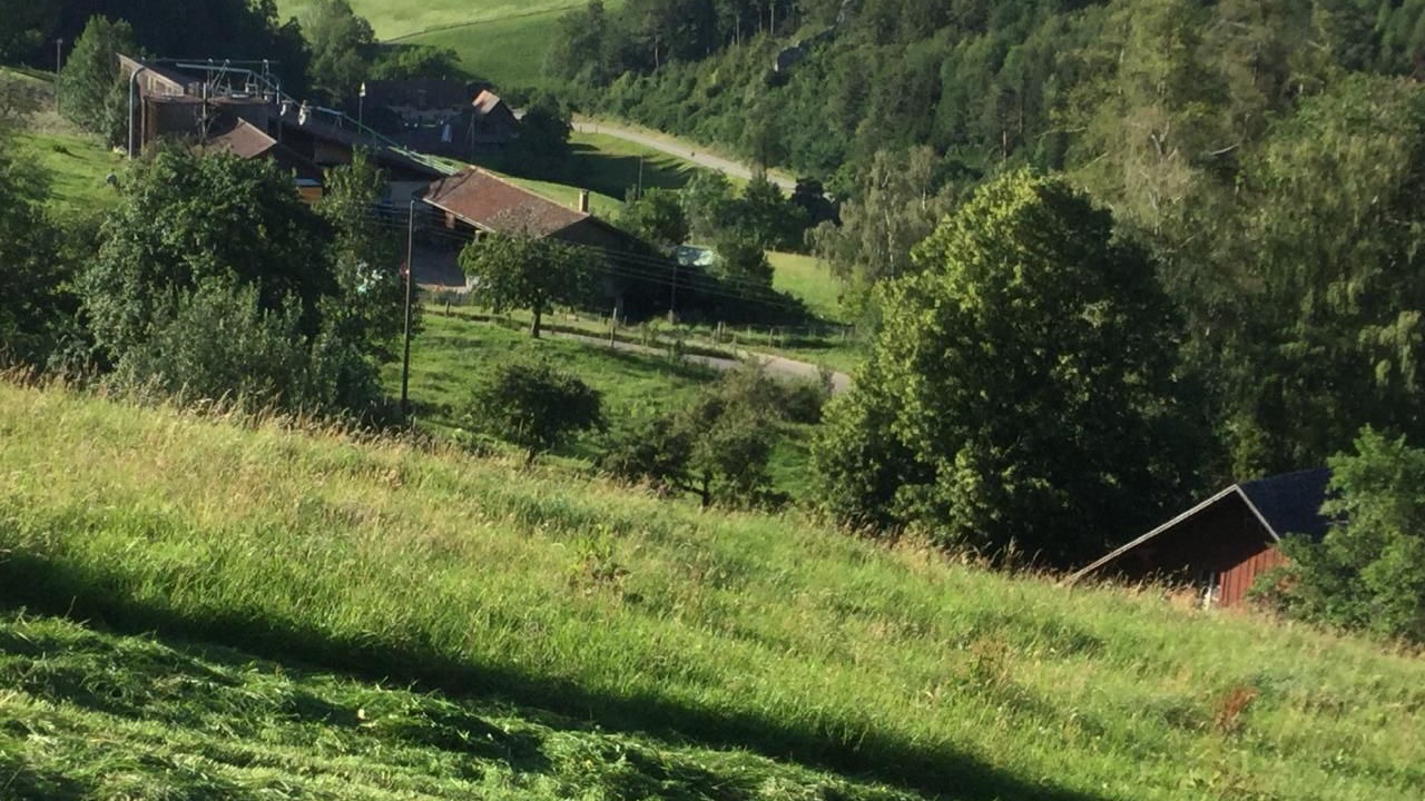 Photo of Others in Langenbruck