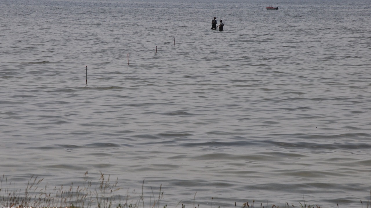 Photo of Others in Verchen
