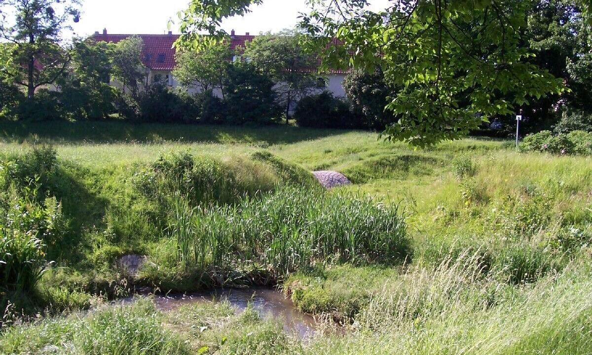 Photo of Outdoor in Strehlen