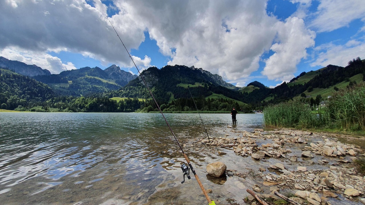 Photo of Others in Schwarzsee