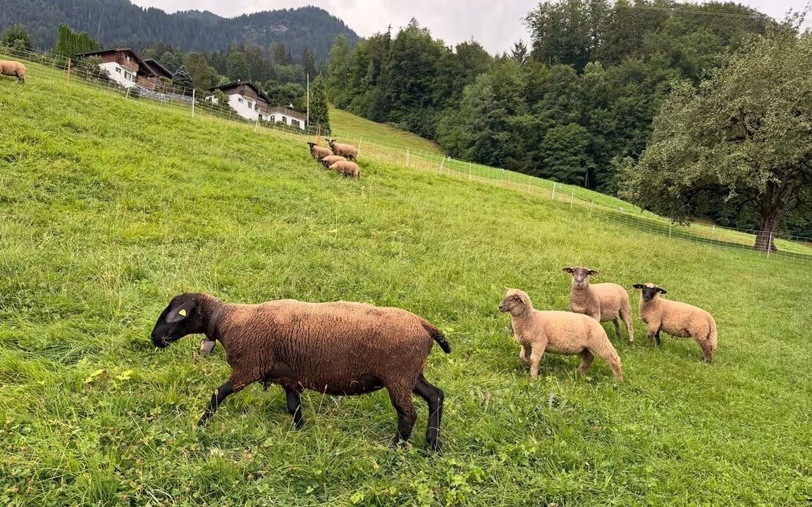 Photo of Others in Oberterzen