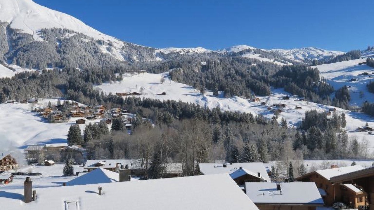 Photo of Others in Lauenen